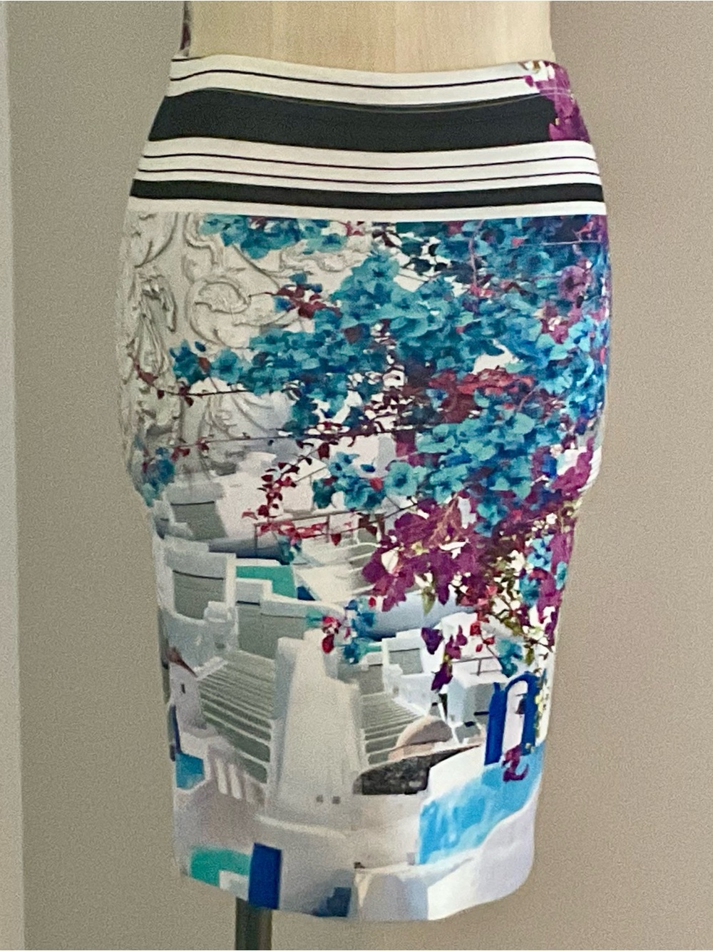 Clover Canyon Neoprene Skirt